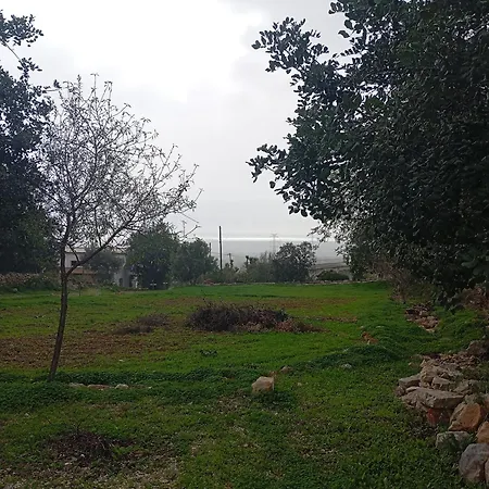 Appartamento Casas Girasol