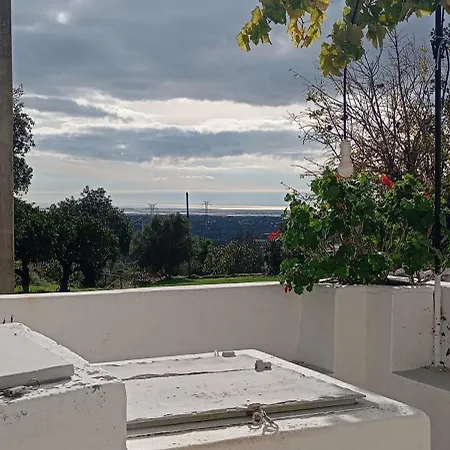 Apartment Casas Girasol